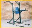 Hanging Leg Raiser Chins & Dips